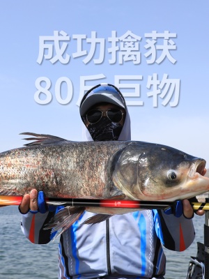 浪尖冠君鱼竿钓鱼竿超轻超硬手竿28调台钓竿19调大物竿渔具品牌