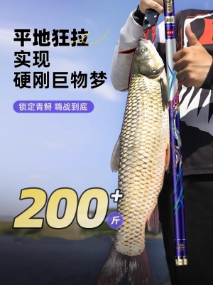 大物青鲟鱼竿巨物超轻超硬量暴力10H/19调碳素台钓竿鱼手竿杆