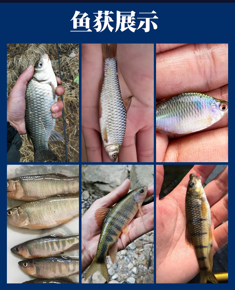 溪流铒详情_12.jpg