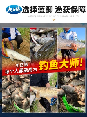 龙王恨鱼饵野战蓝鲫老款钓鱼饵料野钓专用鲫鱼饵料官方旗舰店正品