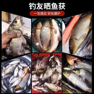 邓刚一包搞定钓鱼饵料野钓鲫鱼鲤鱼草鱼爆护四季夜钓鲫鱼饵料通杀
