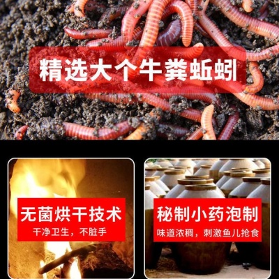 麝香真蚯蚓鱼饵药酒浸泡饵料通杀野钓鲫鱼鲤鱼草鱼罗飞蚯蚓液食饵