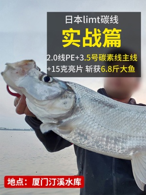 进口碳线正品路亚前导线专用碳素主线子线日本品牌钓鱼线超柔软