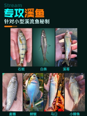 鱼饵溪流面筋饵料野钓鲫鱼石斑鱼马口小白条饵料钓鱼免洗急流浓腥